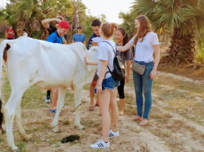 Отель Siem Reap Angkor Homestay  Siem Reap